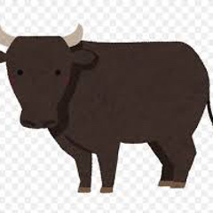 My Kobe Cow