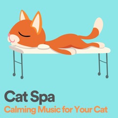 Cat Spa Calming Music for Your Cat, Pt. 18