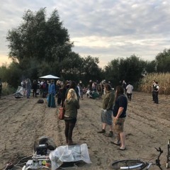 live extract schoft's bday (not mastered)