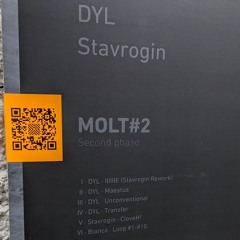 Stavrogin | DYL - Second Phase VA EP - 12" 180g vinyl & Digital [MOLT002]