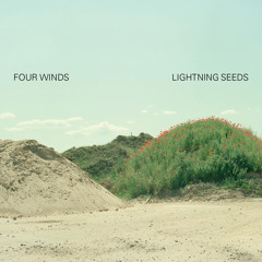 Things Just Happened (Album Version)