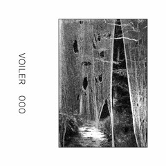 VOILER - 0 (Goth Romantic Edit)