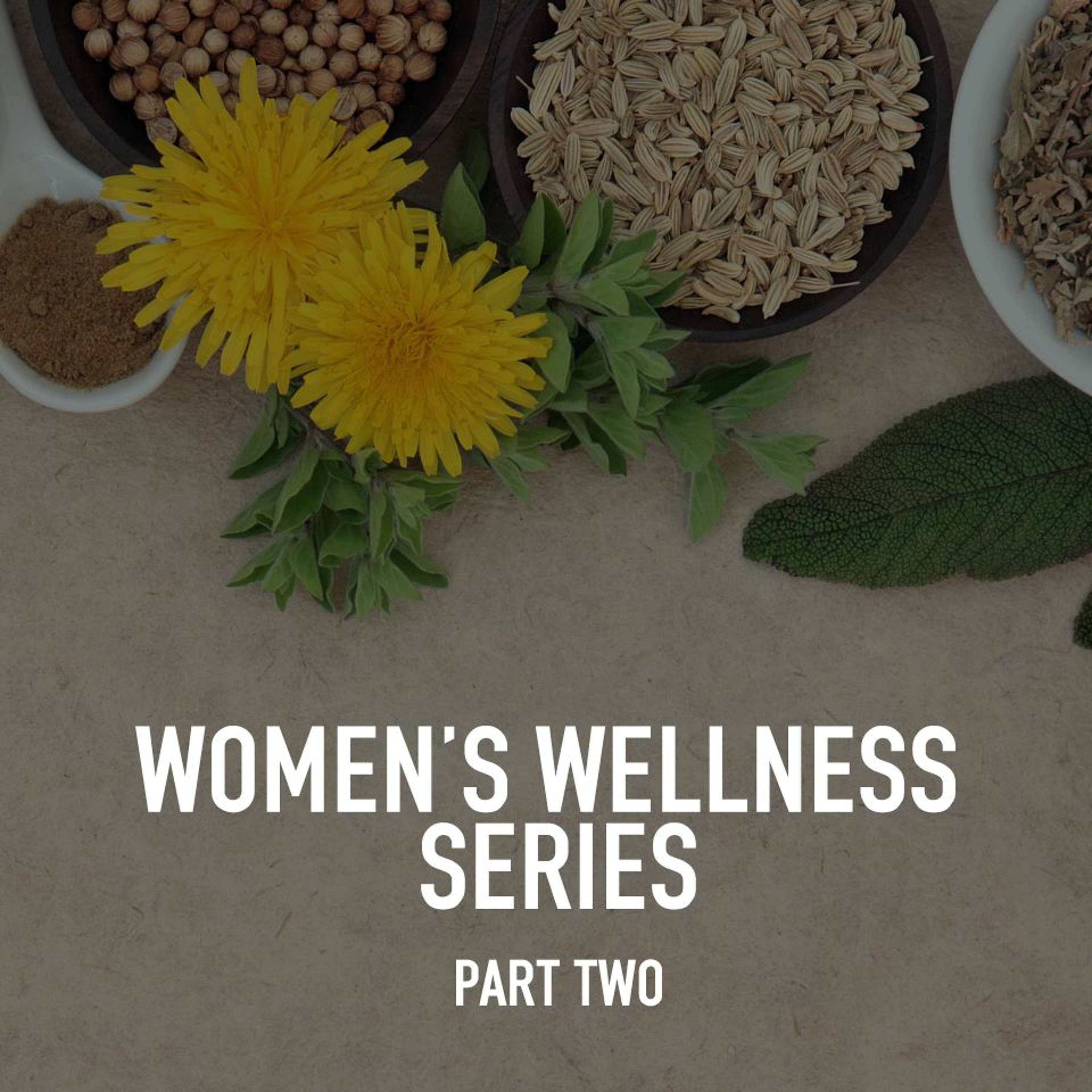 Women's Wellness Series, Part Two with Coaches Melissa and Jess