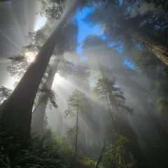 $oYaga - Keep Goin’ Freestyle (feat. Cullakit)