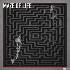 Maze of life (feat Melodie)