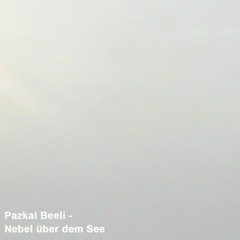 Pazkal Beeli - Nebel Über Dem See (Original Mix)