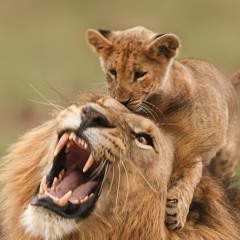 Mother May I?  Sam Mendez / Jamie Rhind