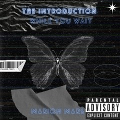 The Introduction - While You Wait