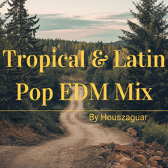 Tropical & Latin Pop EDM Mix
