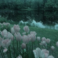 If Its Not You (cover)