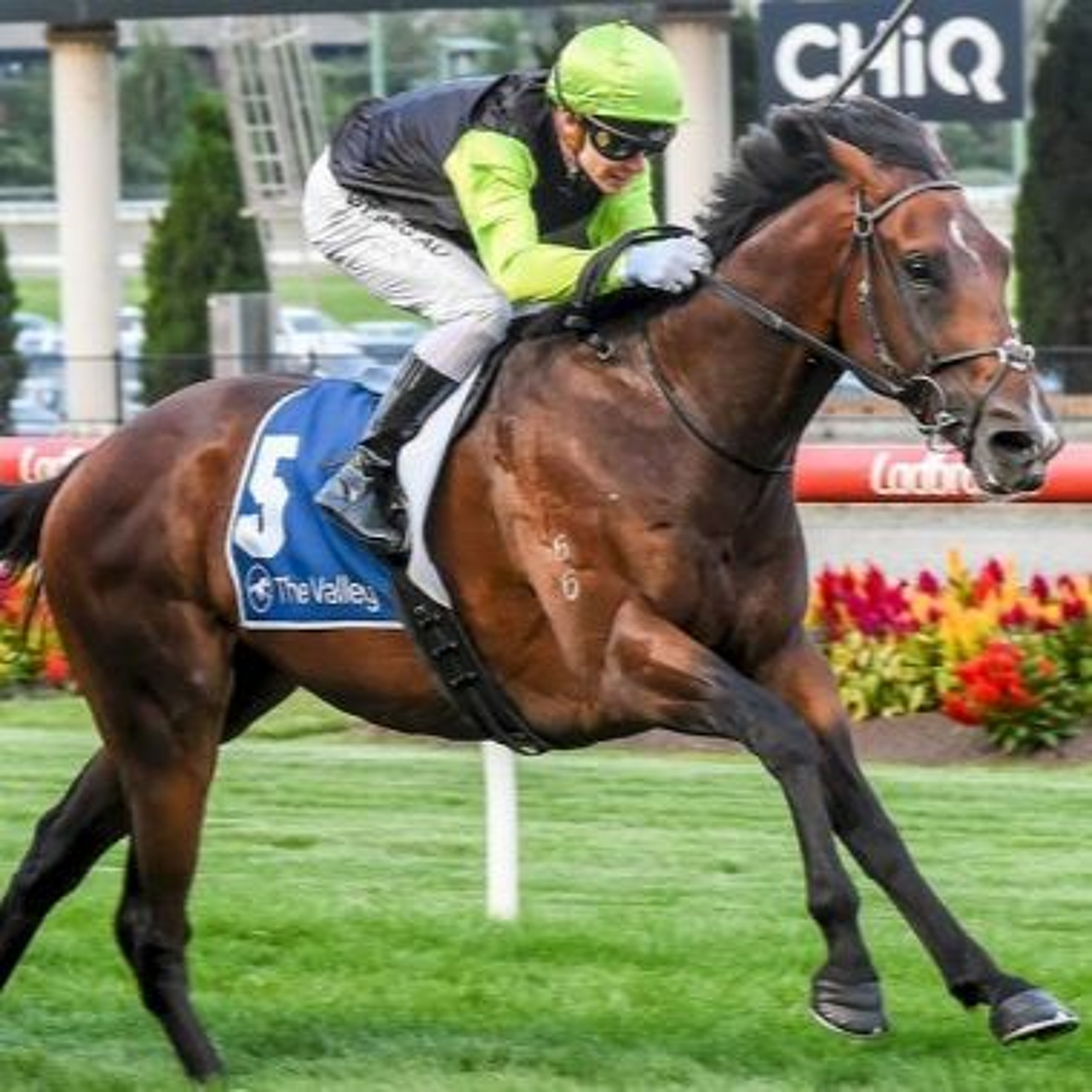 Carlyon Stakes Day Punting Preview