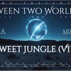 DMS-Sweet Jungle (VIP)