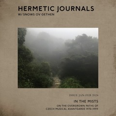 Hermetic Journals: In The Mists (On The Overgrown Paths Of Czech Musical Avantgarde 1970 - 1999)