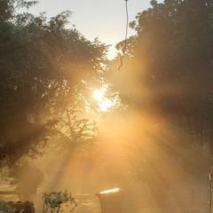 Wish I Knew What I Was Doing 1[1]