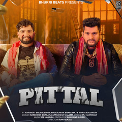 Pittal (feat. Biru Kataria)