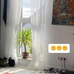 omg wtf is going on (extended)