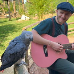 #226 Music for the Animals with Plumes