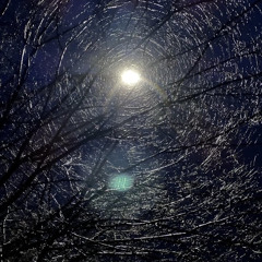 Can we go to Narzz (prod. zvanz)