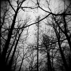 Burzum - Dunkelheit (Acoustic Cover)