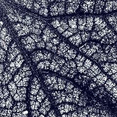 Hedström & Pflug - Rest EP [HP003] previews