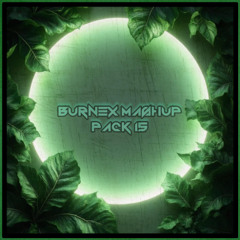 Burnex Mashup Pack 15 [FREE DOWNLOAD]