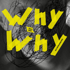 Thierry Tomas - Why Why EP (feat. Fred Everything remix) [DEEPPA11] preview