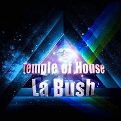 La bush Réunion booster mix