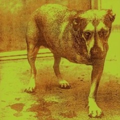 Alice̲ ̲I̲n̲ ̲C̲hains - Alice̲ ̲I̲n̲ ̲C̲hains (Full Album)