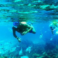 Best Catalina Island Punta Cana Snorkeling Prices Reviews