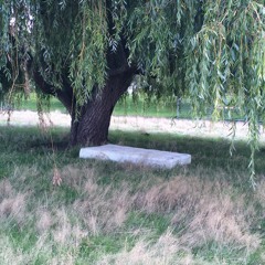 Late Night Maudlin Street (Morrissey)