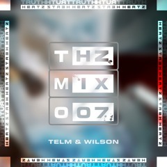 THZ MIX 007 - TELM & WILSON