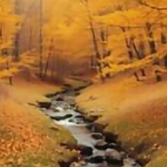 WHISPERS IN THE WIND