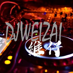 DJ維仔 舞廳全盛時期 精典連續舞曲 SKY 獅子王 48街