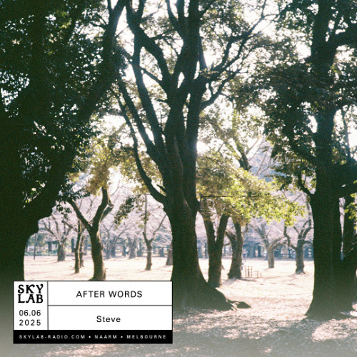 Skylab Radio - After Words ep 14 with Steve