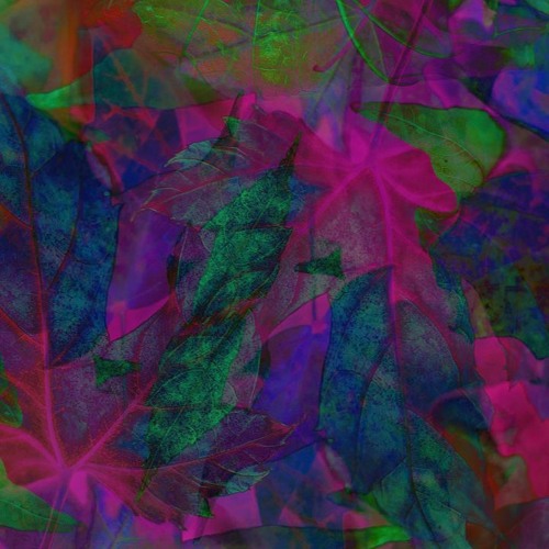 Stream When The Leaves Come Falling - Mix Oct 2022 by Thym | Listen ...
