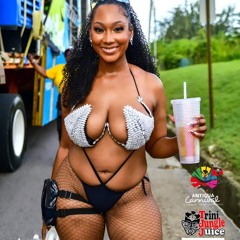 2024 / 2025 SOAC  Vol.16. KITCHENER CARIBANA MUSIC MIX.