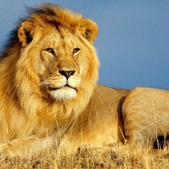 No vale entrenar sin hard