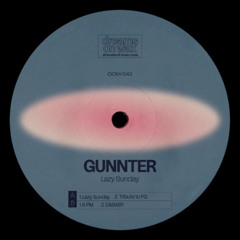 PREMIERE: Gunnter - Lazy Sunday