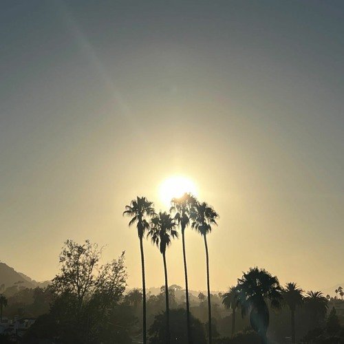 Sunset Sessions #7