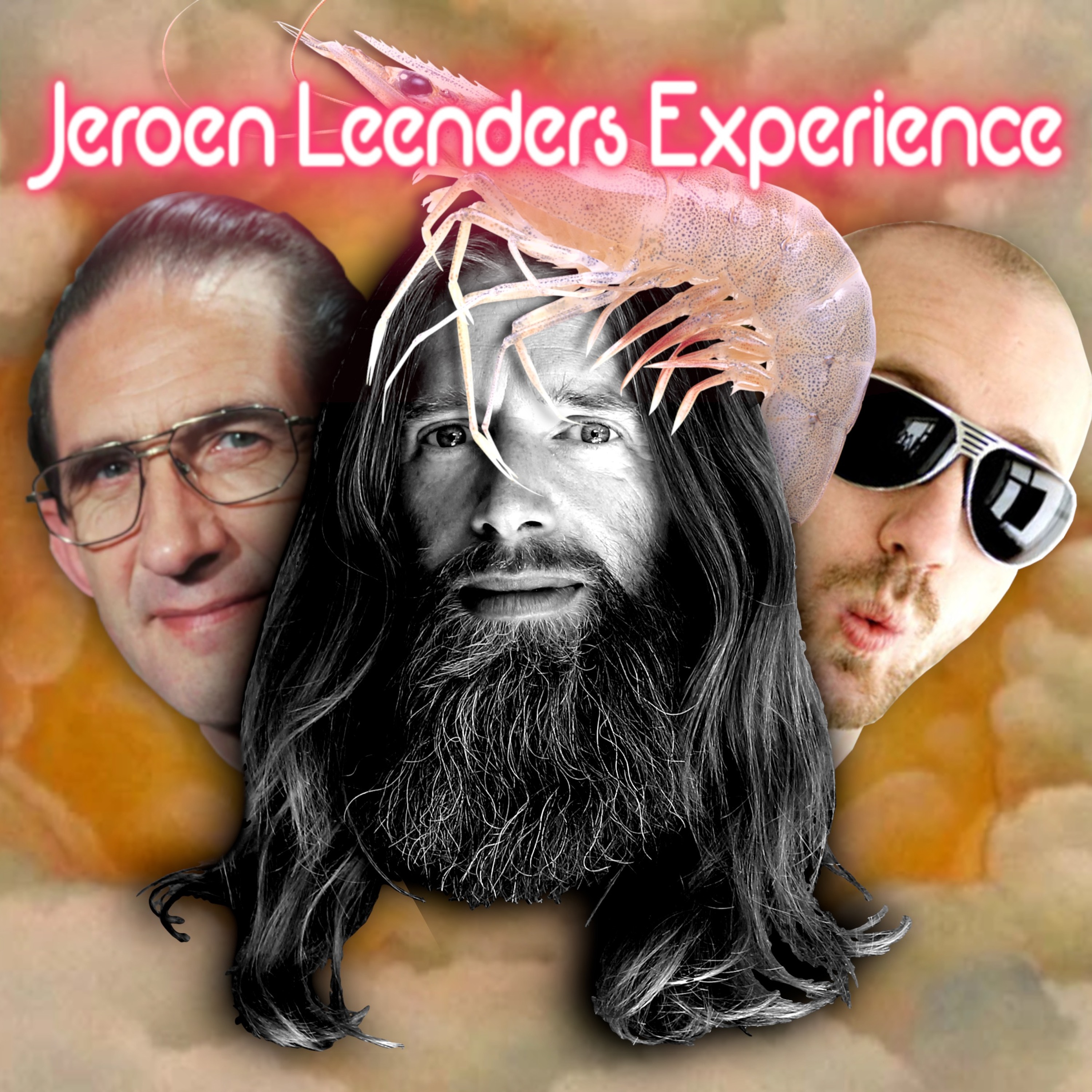 Jeroen Leenders Experience