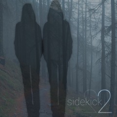 sidekick2 [cranes]
