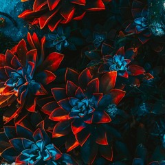 Wind Sextet in A - Movement III, Allegro