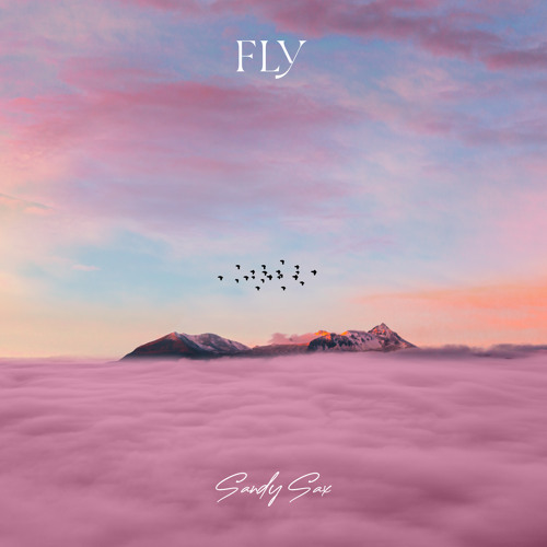 Fly (Radio Edit)