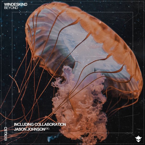 08 - Windeskind - Skyfall (Beyond) PREVIEW