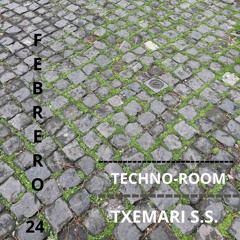 TECHNO -ROOM - -- - -- - --- TXEMARI S.S. - - -- - --FEBRERO 24