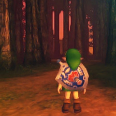 The lost woods - Zelda