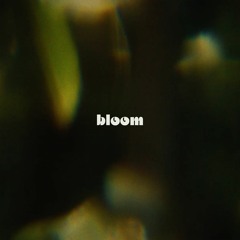 bloom