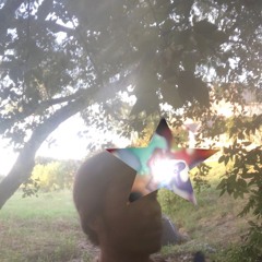 signal to then  (prod. ap)