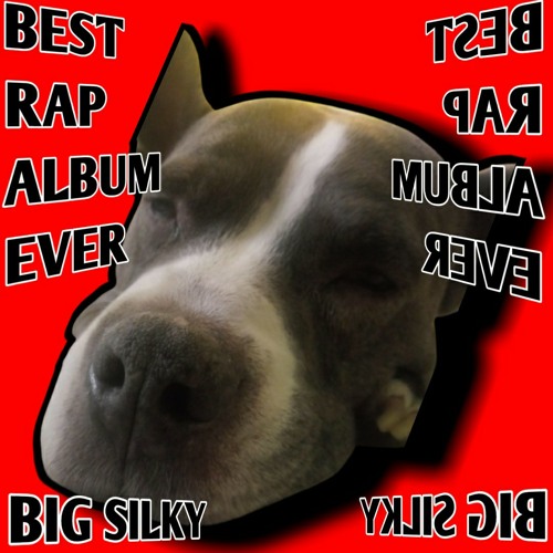 Big Silky - My Pogchamp