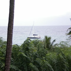 Brokenporcelain94bpm